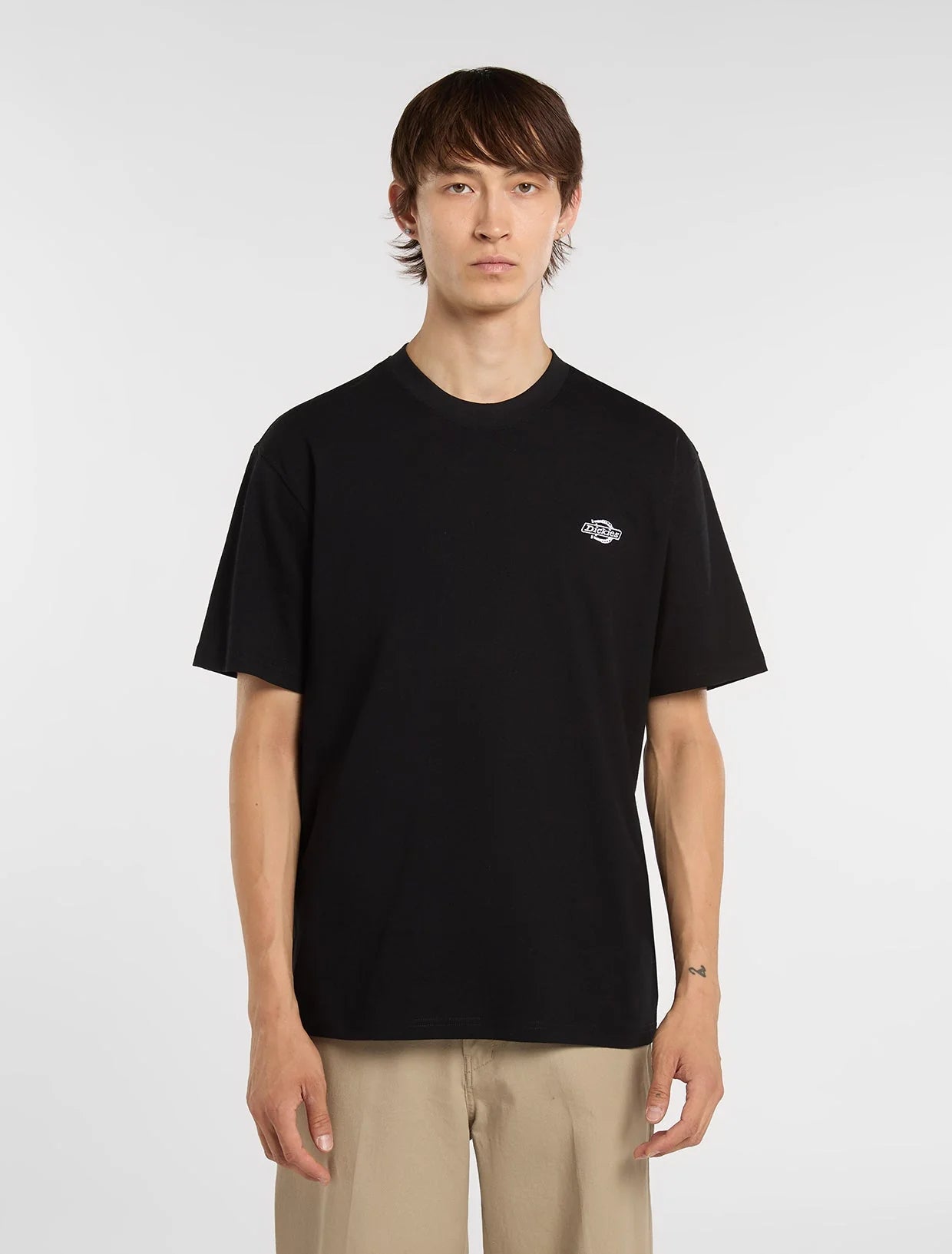 DICKIES T-shirt summerdale