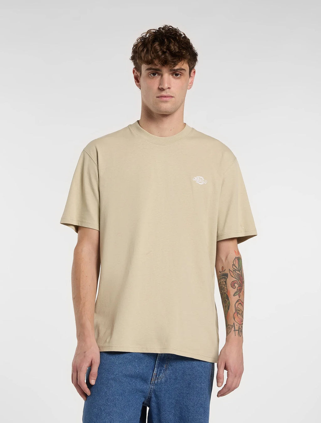 DICKIES T-shirt summerdale