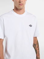DICKIES T-shirt summerdale