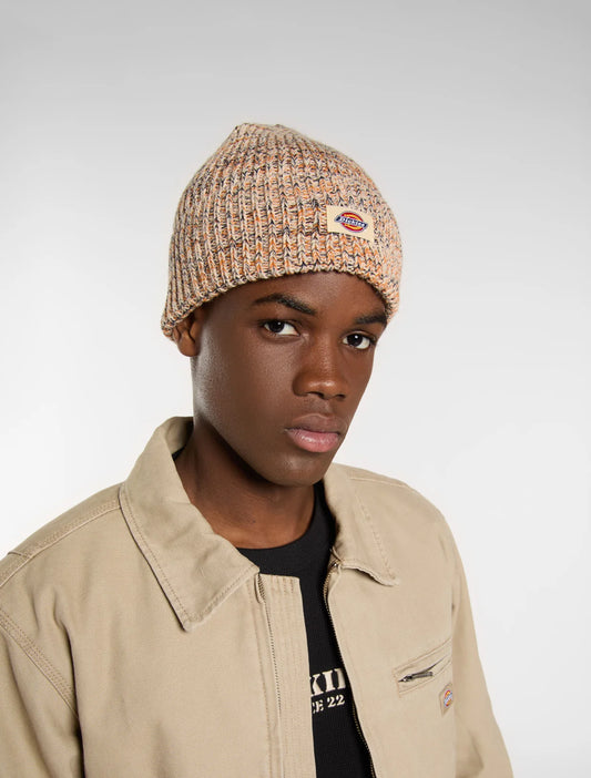 DICKIES Gorro lewistown