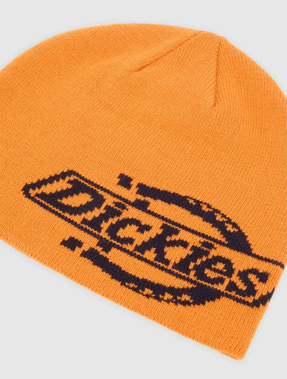 DICKIES Gorro com logotipo Summerdale - CARISMAstore