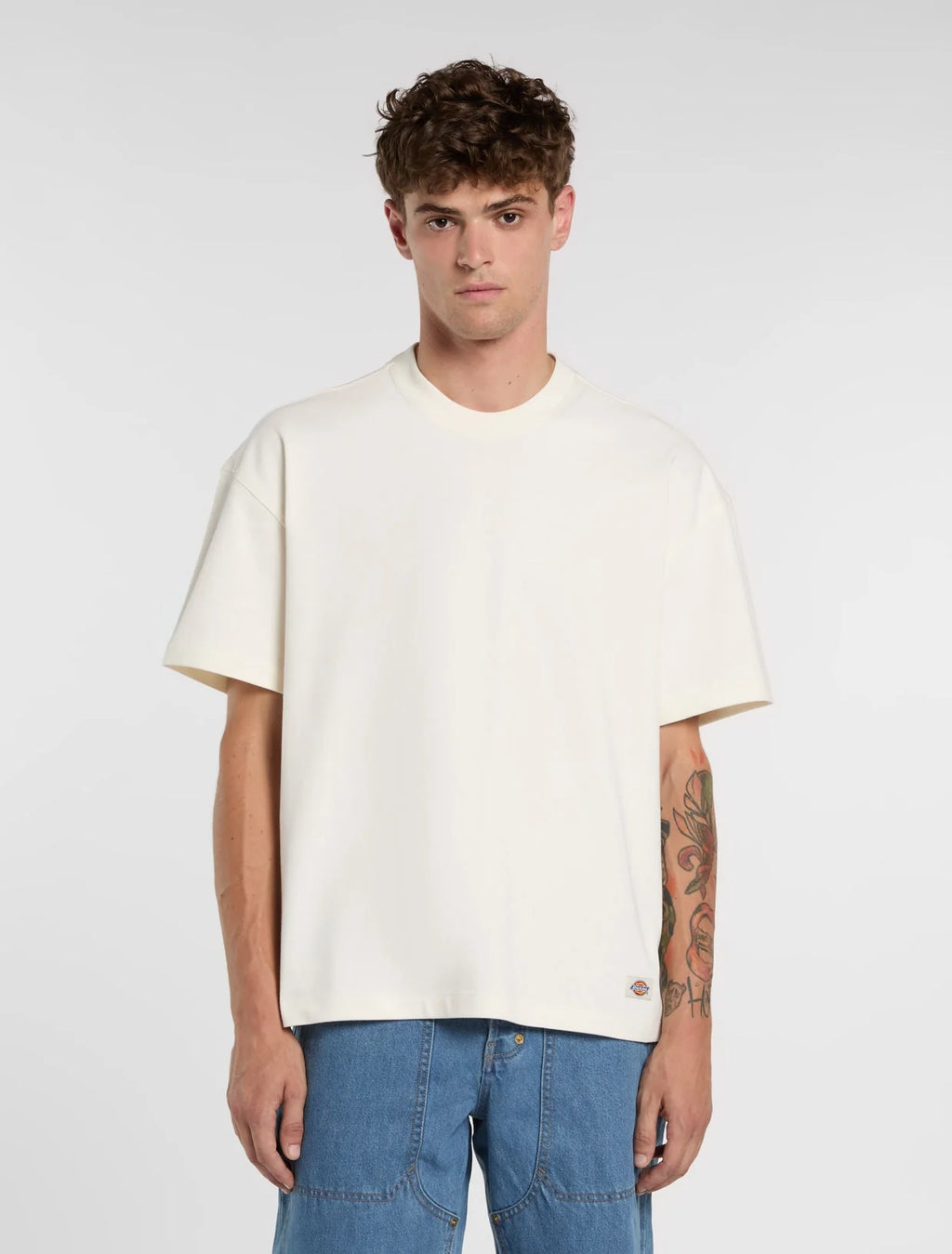 DICKIES T-shirt  grossa mineral