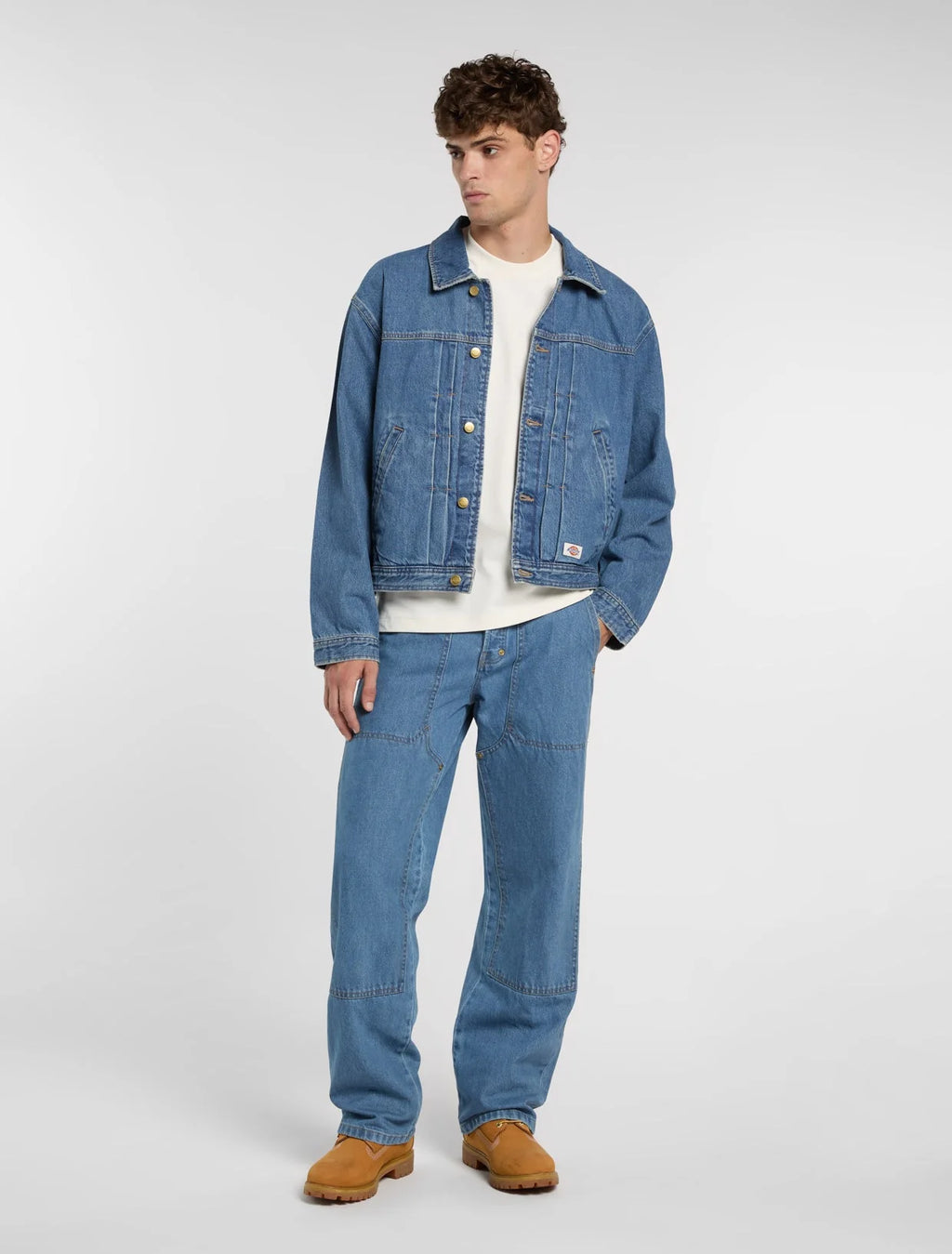 DICKIES T-shirt  grossa mineral