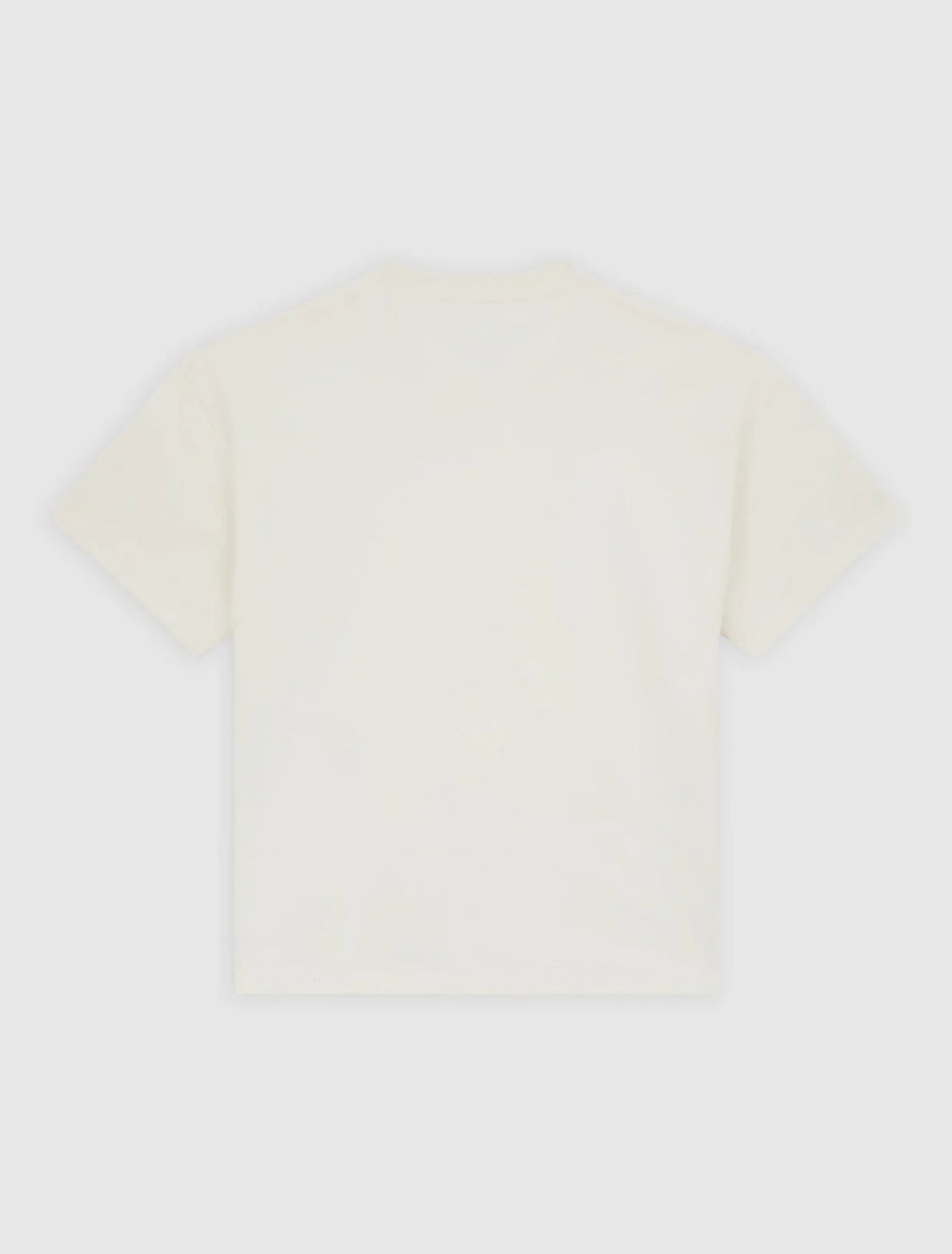 DICKIES T-shirt  grossa mineral