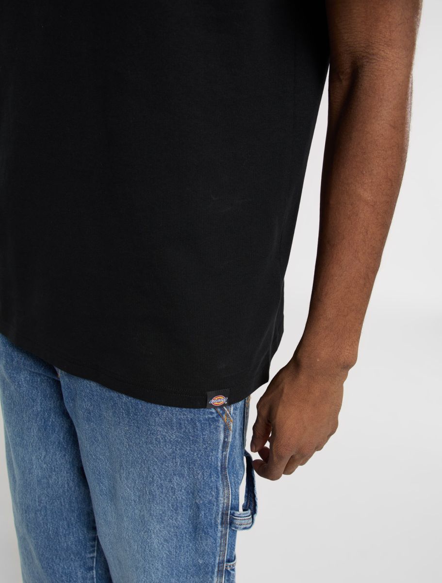 DICKIES T-shirt laryville - CARISMAstore