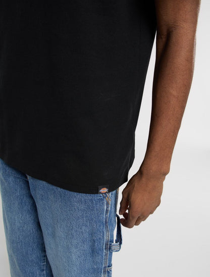 DICKIES T-shirt laryville - CARISMAstore