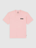 DICKIES T-shirt buchtell