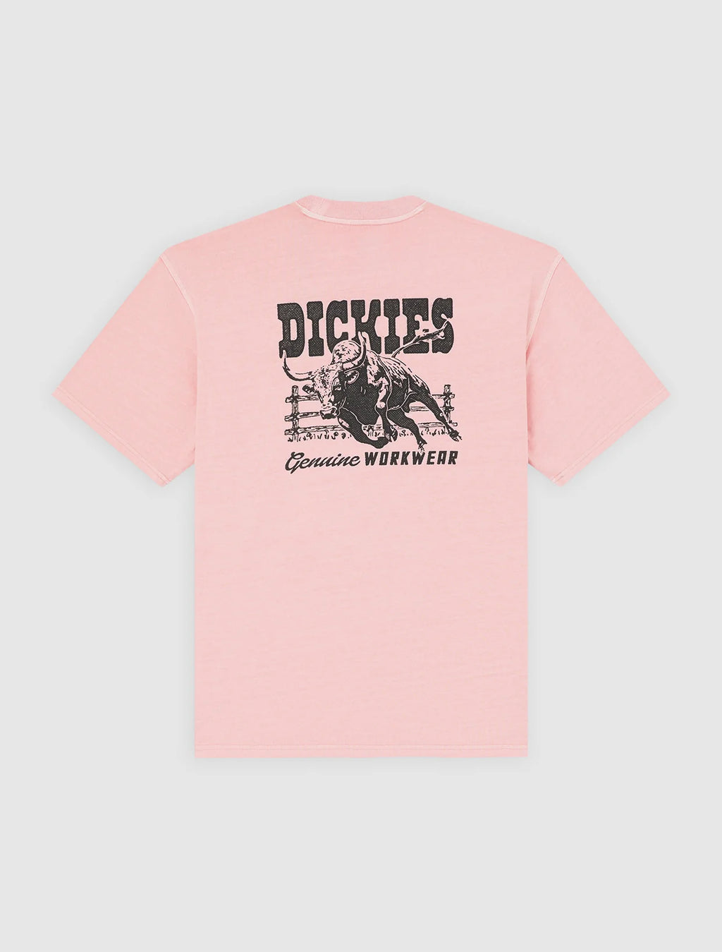 DICKIES T-shirt buchtell