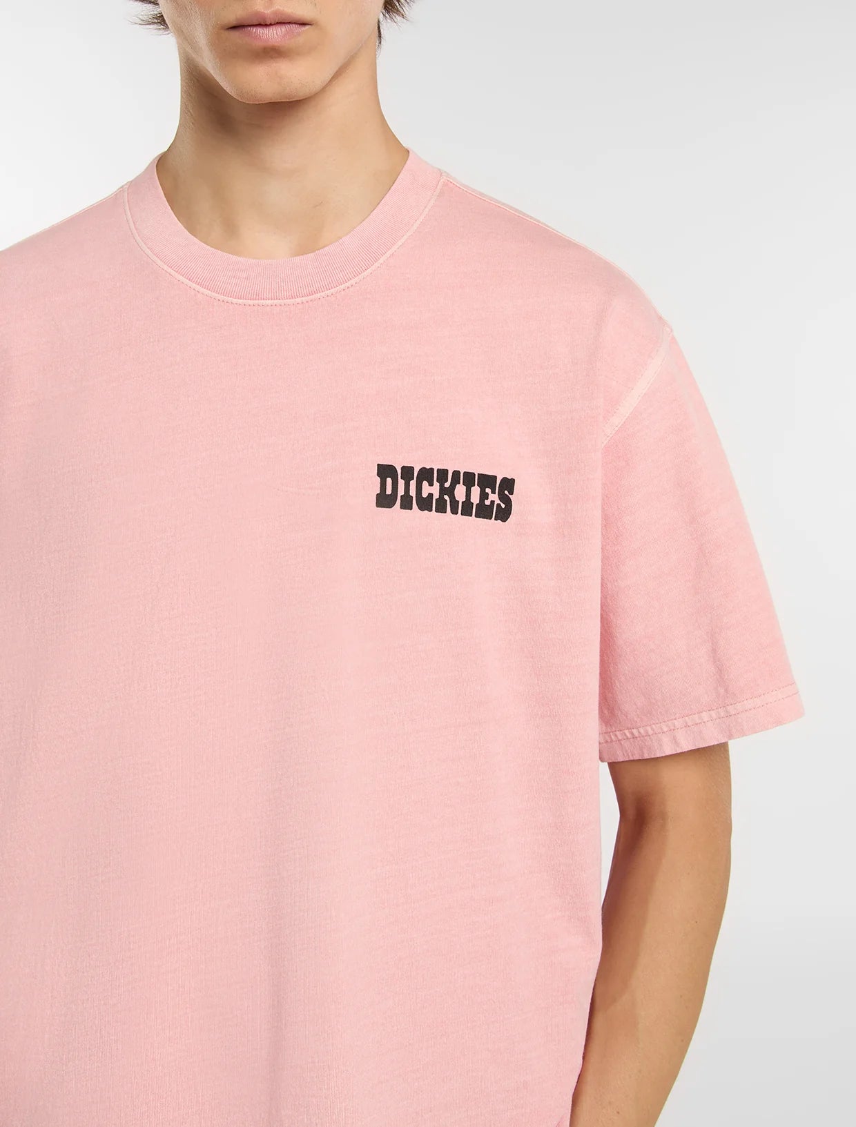 DICKIES T-shirt buchtell