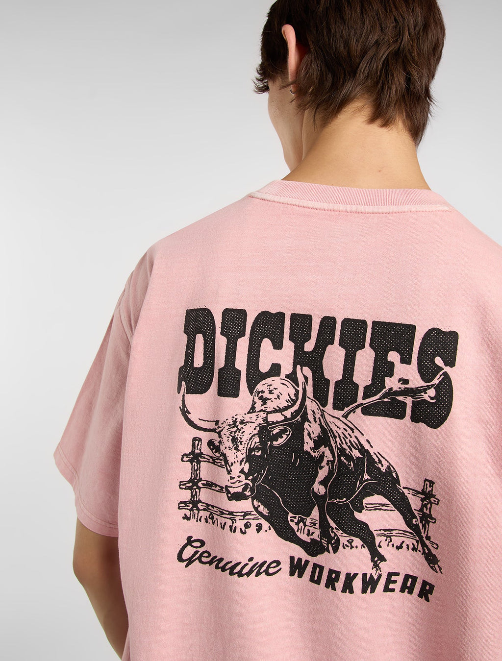 DICKIES T-shirt buchtell