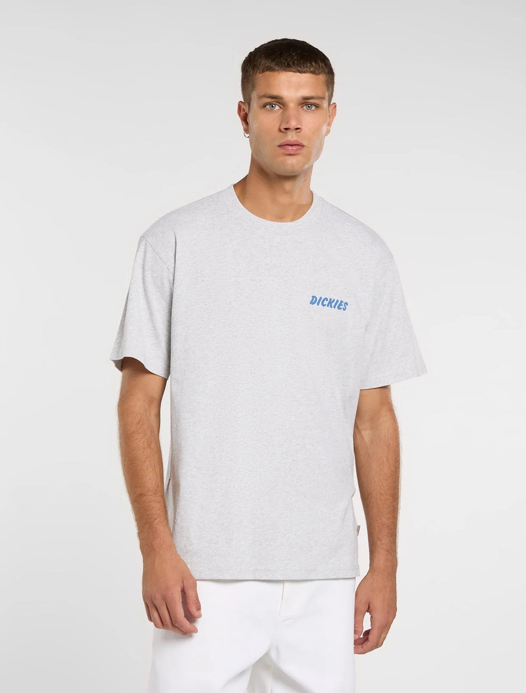 DICKIES T-shirt Dry ridge