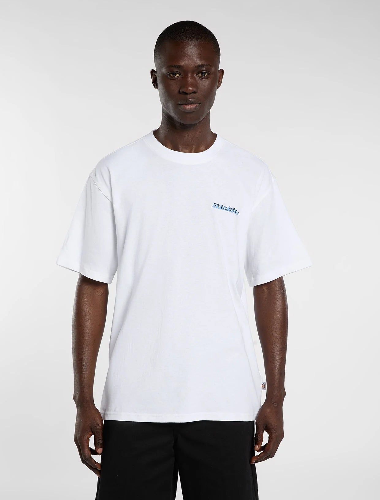 DICKIES T-shirt thornville