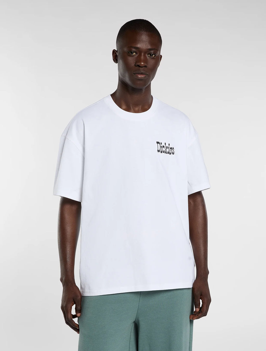 DICKIES T-shirt polk