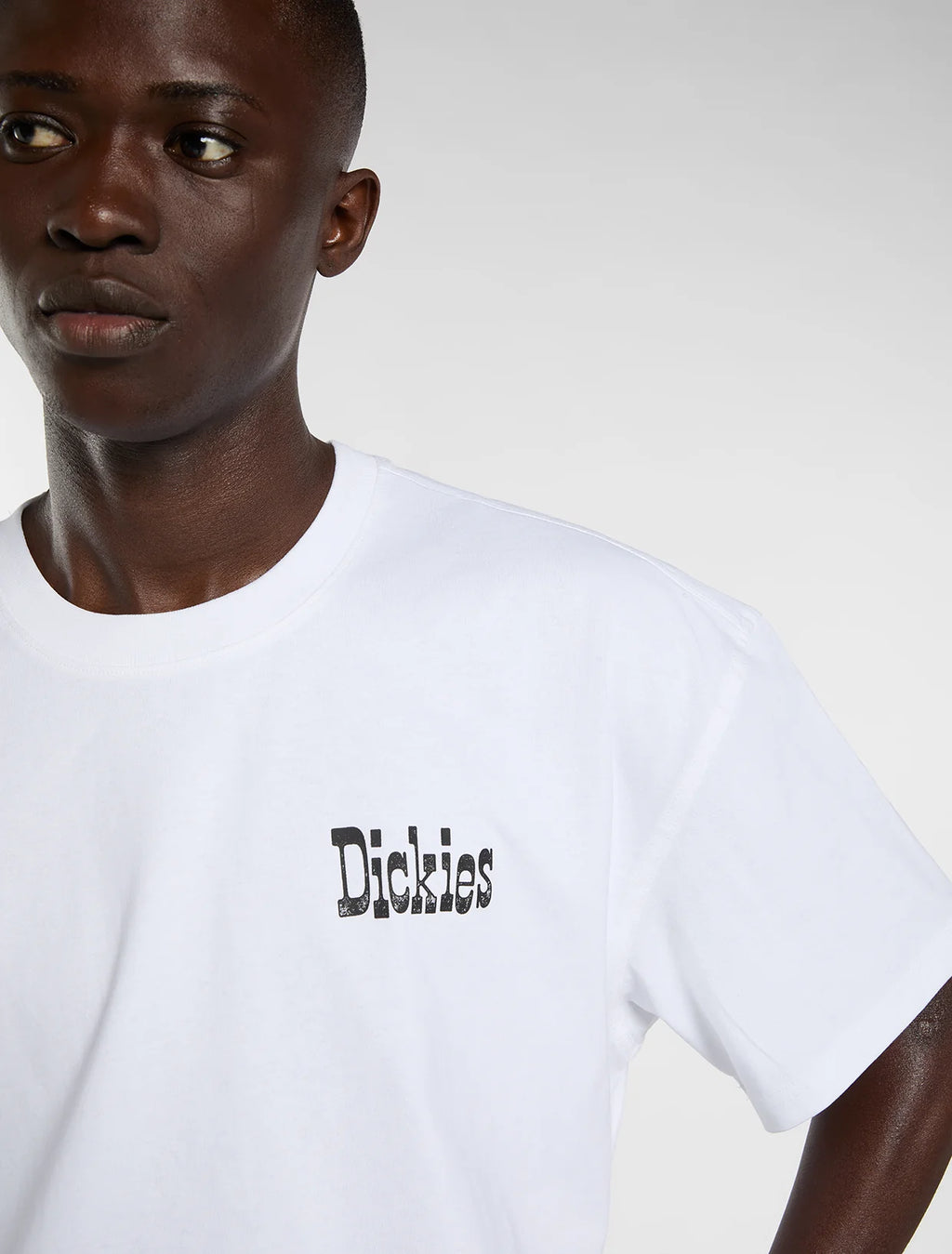 DICKIES T-shirt polk