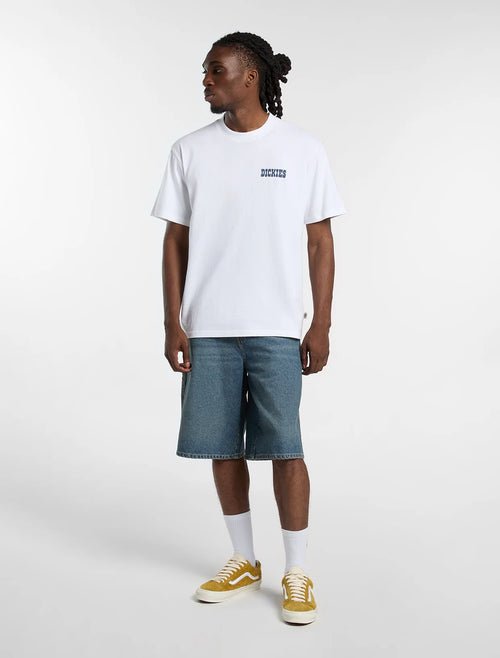 DICKIES T-shirt plain