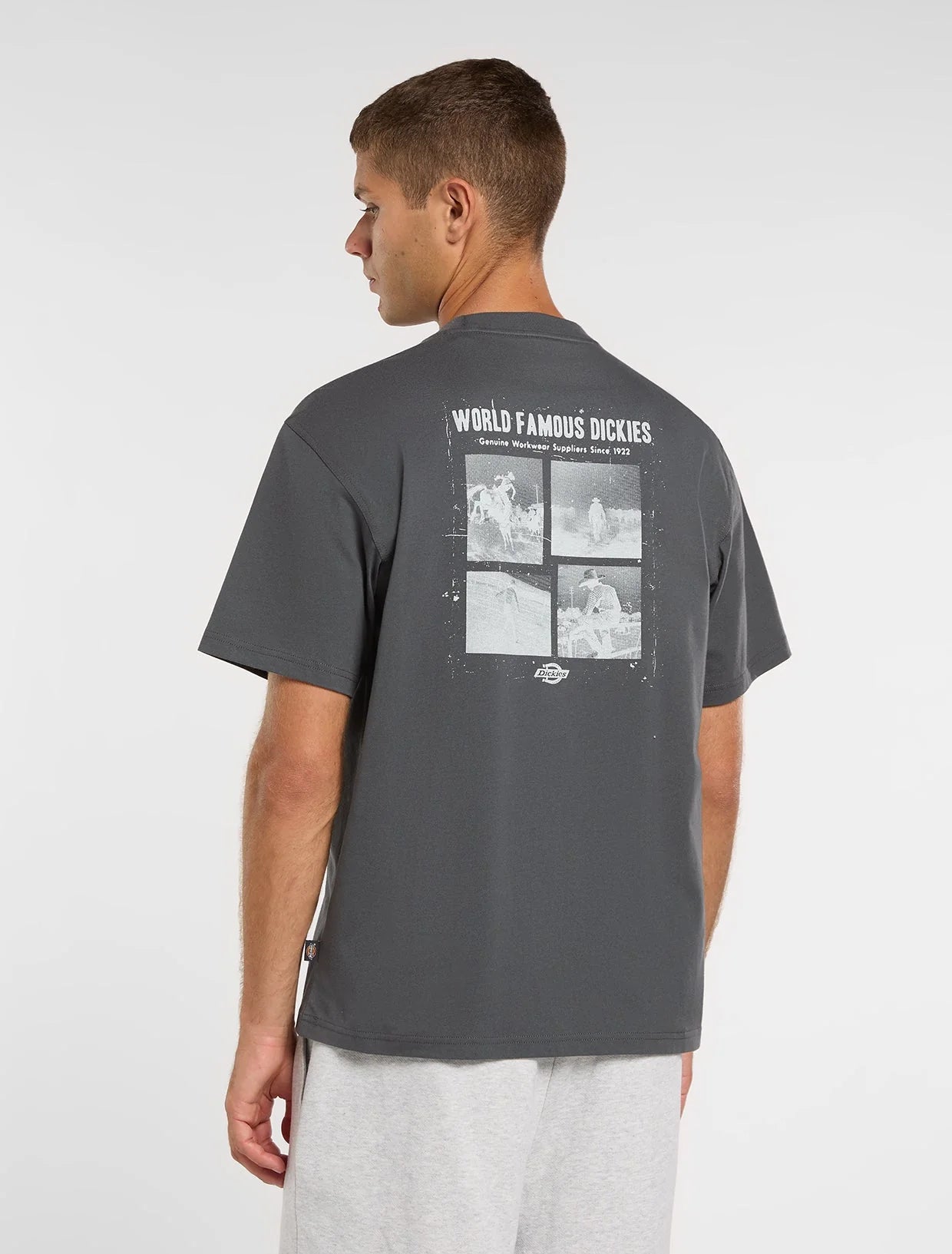 DICKIES T-shirt wolfhurst