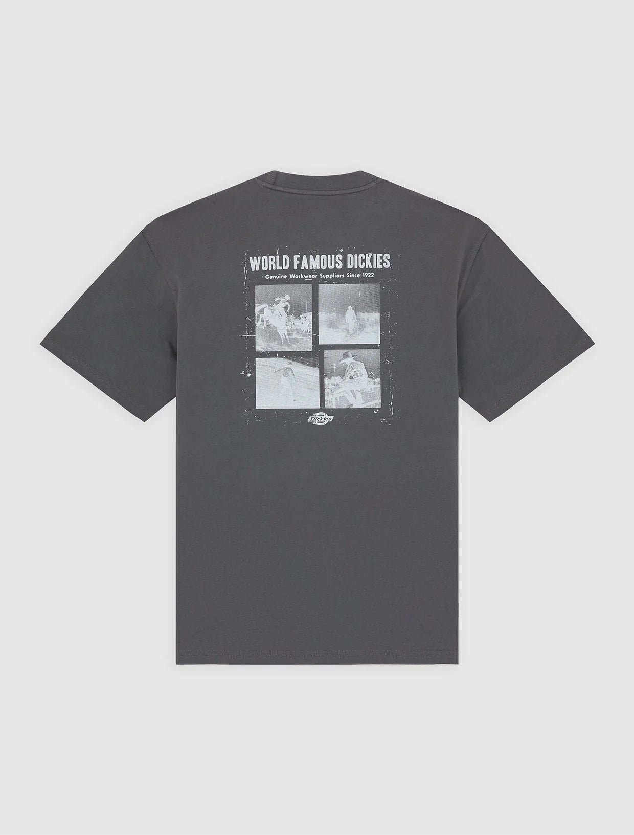 DICKIES T-shirt wolfhurst