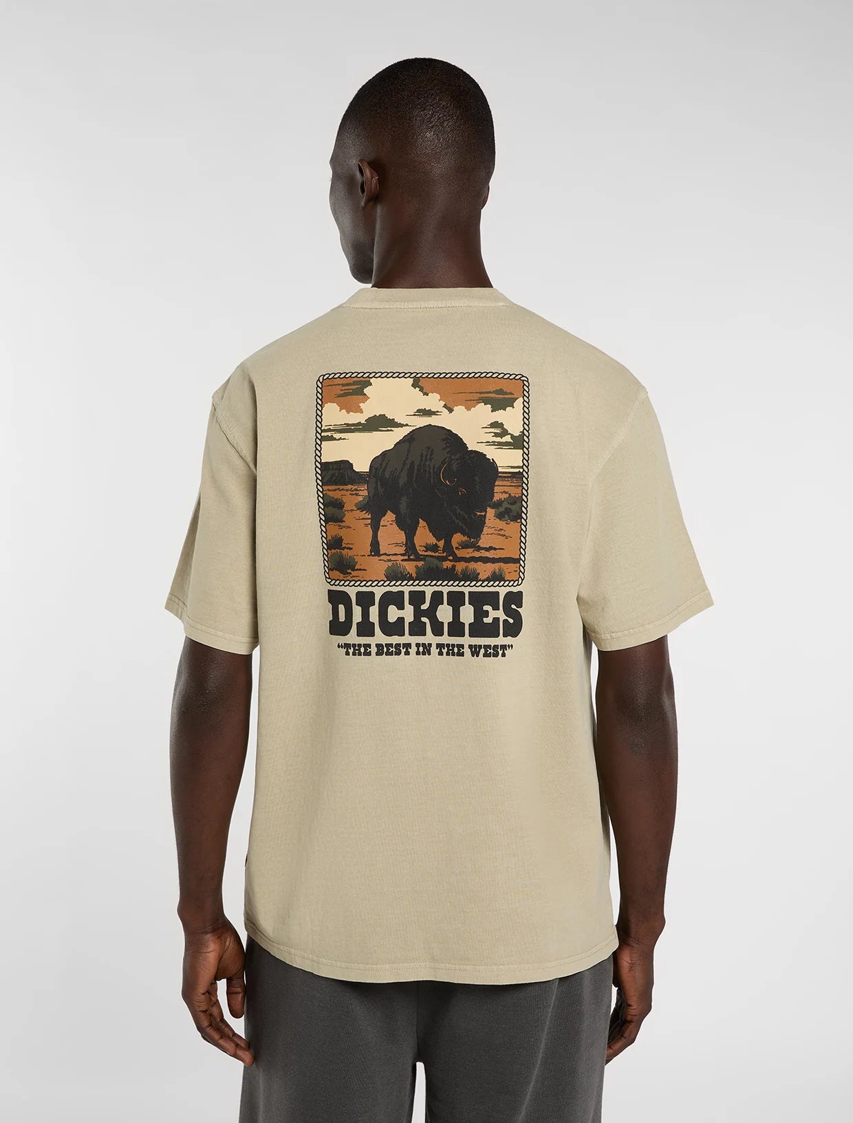 DICKIES T-shirt darrtown