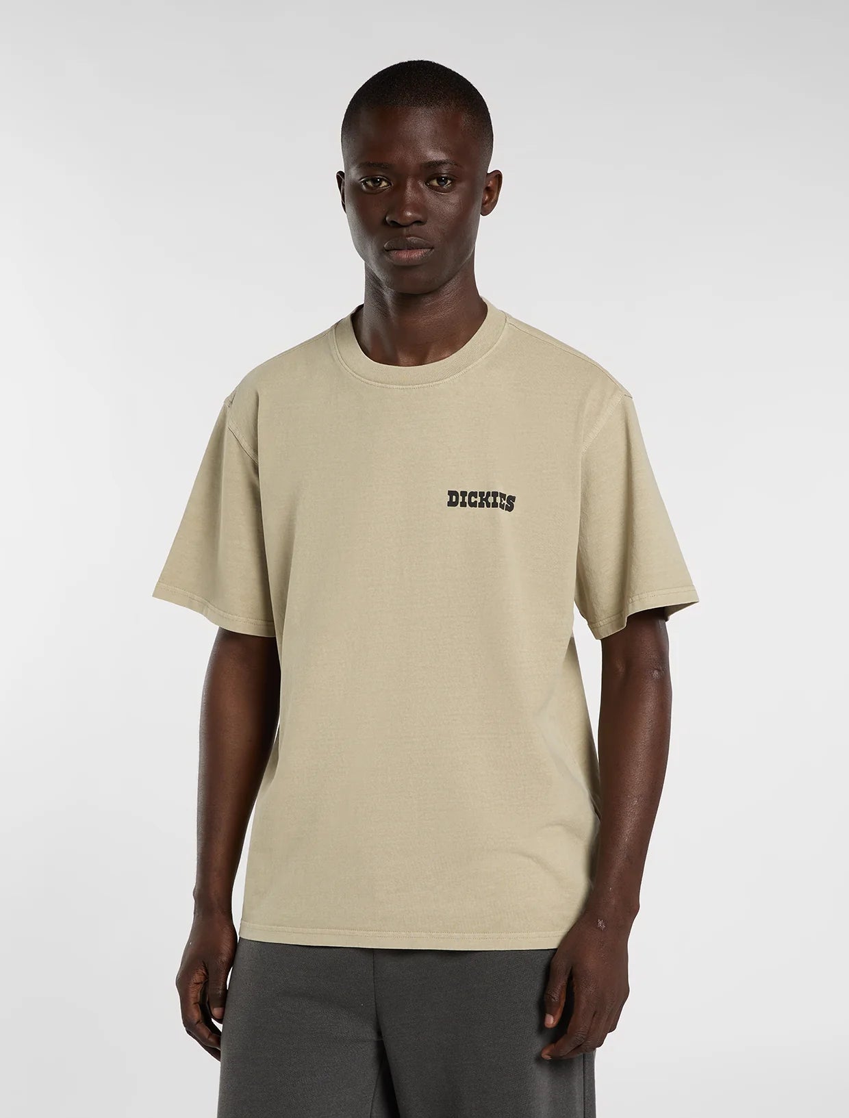 DICKIES T-shirt darrtown