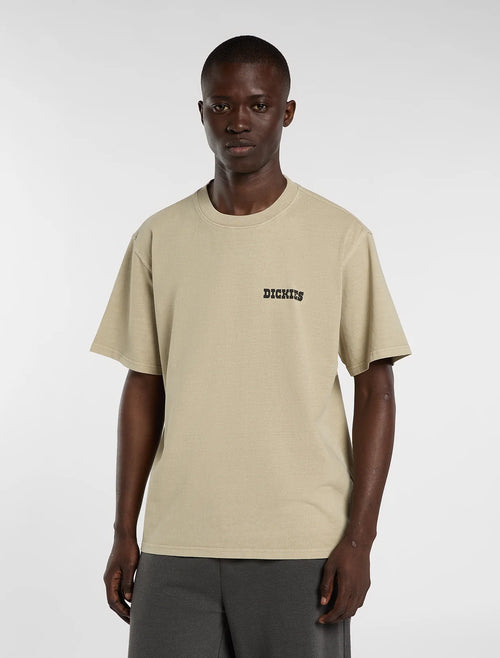 DICKIES T-shirt darrtown