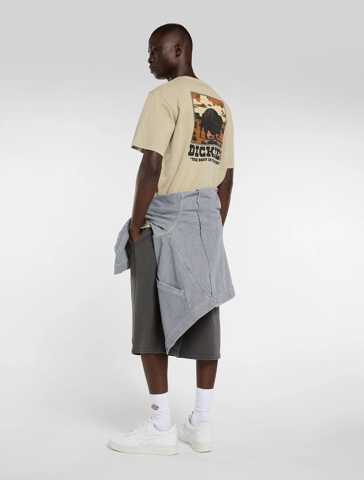 DICKIES T-shirt darrtown