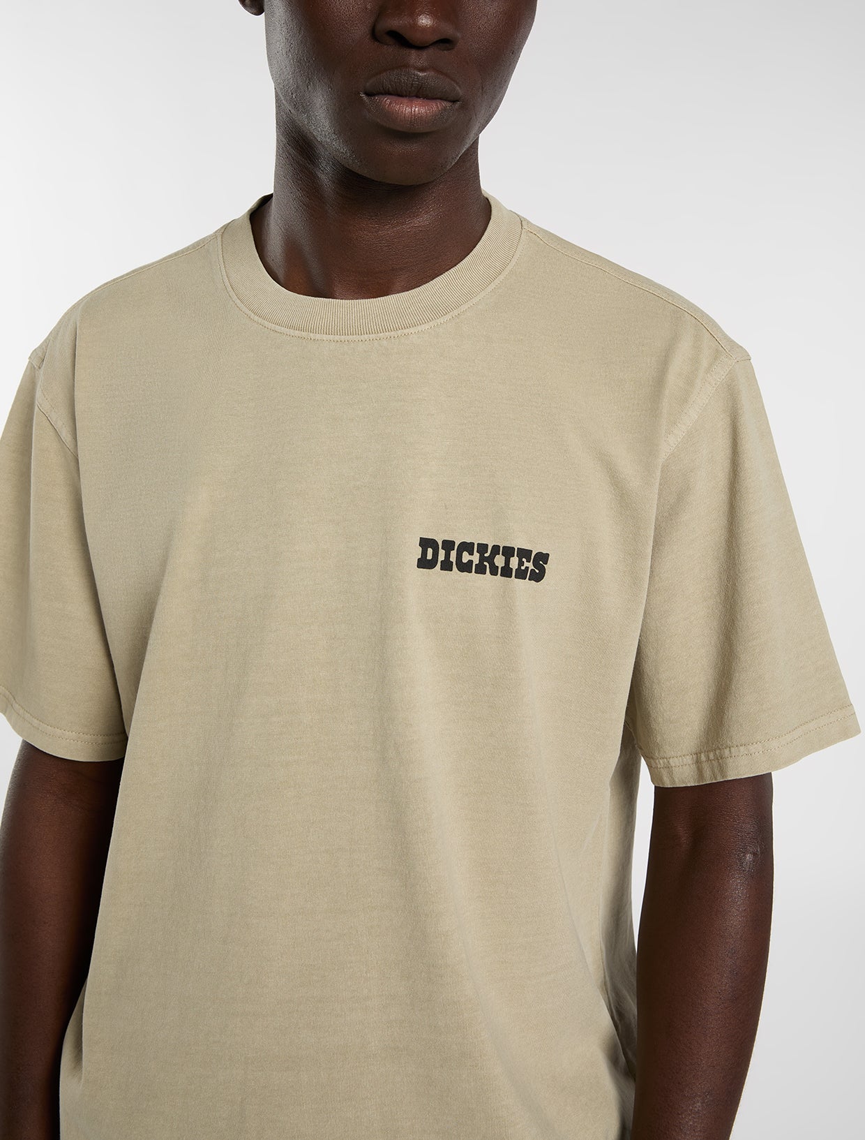 DICKIES T-shirt darrtown