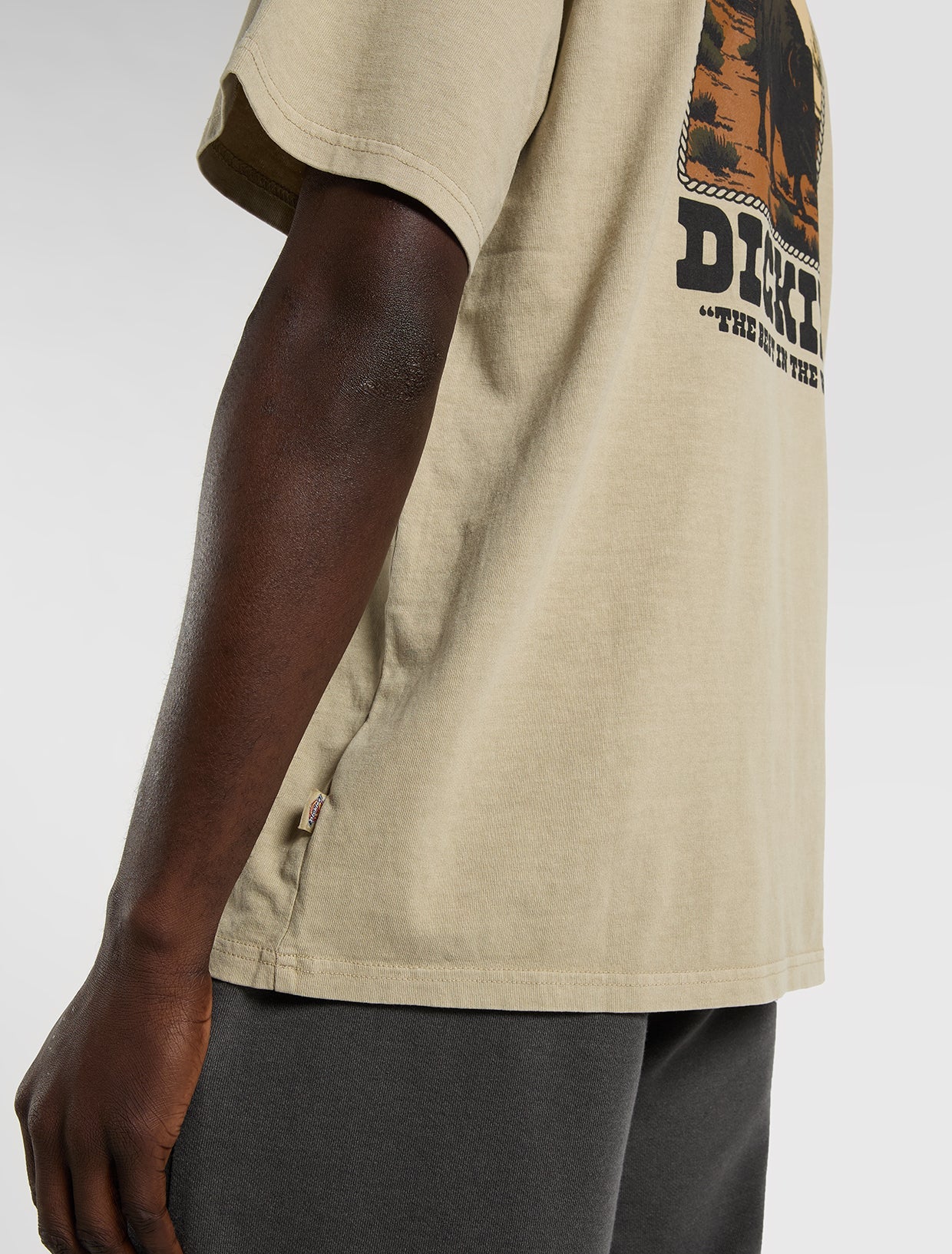 DICKIES T-shirt darrtown