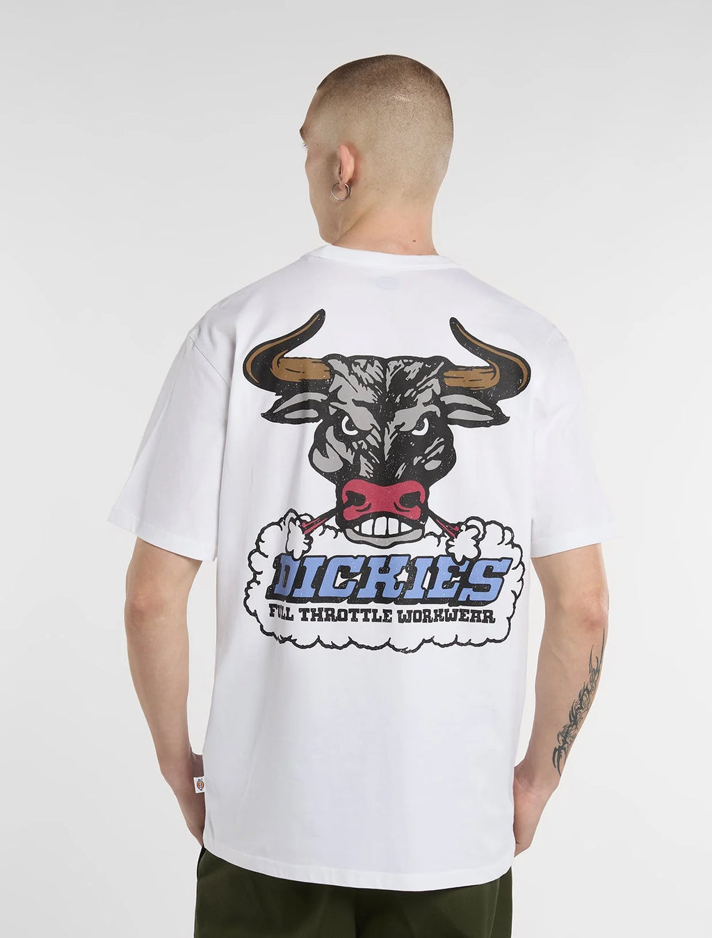 DICKIES T-shirt lakeridge