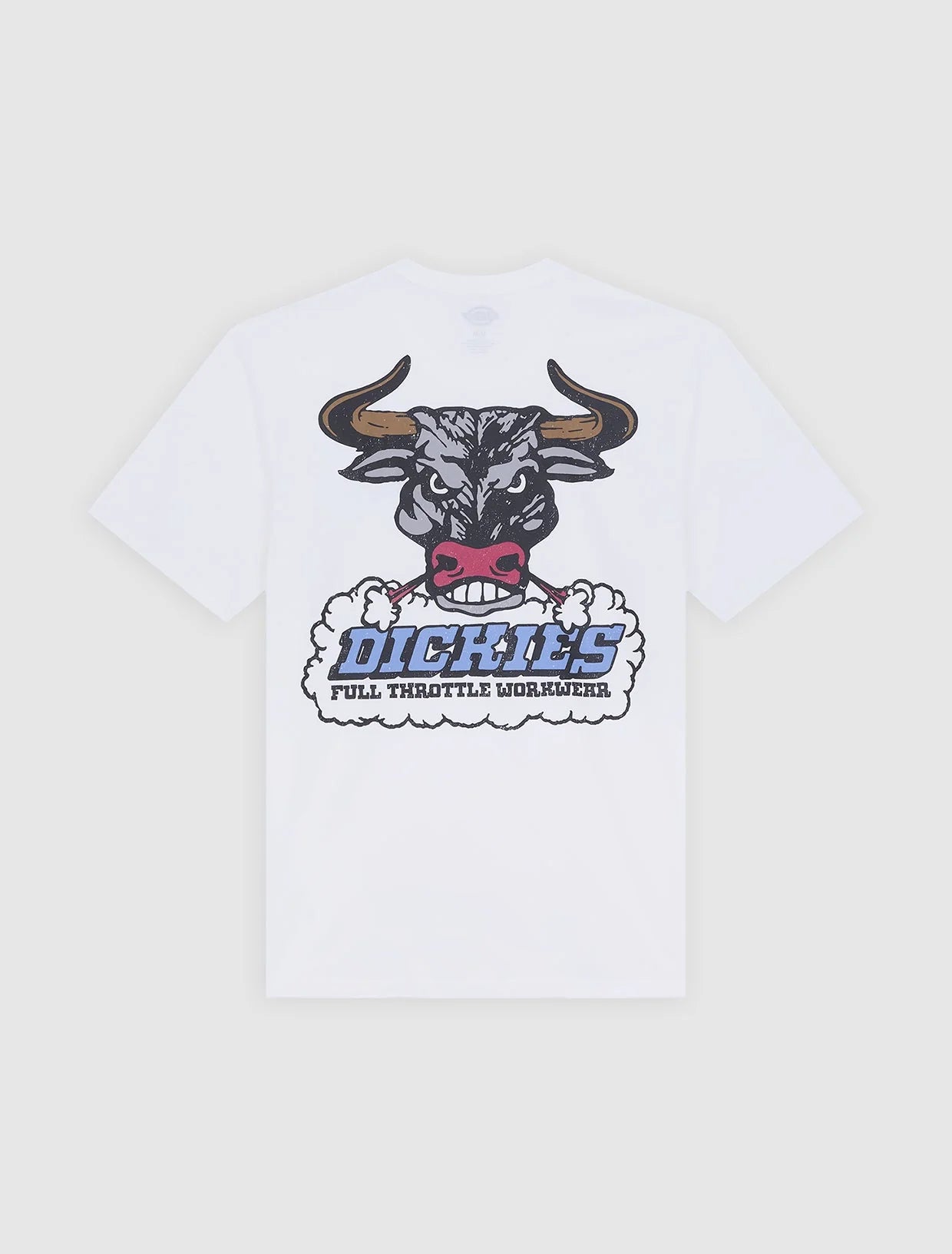 DICKIES T-shirt lakeridge