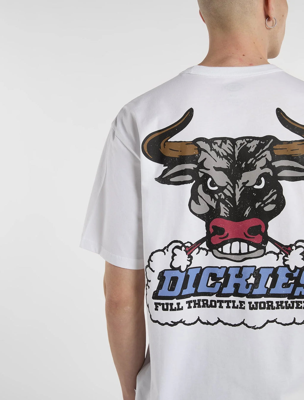 DICKIES T-shirt lakeridge