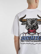 DICKIES T-shirt lakeridge