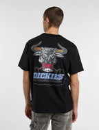 DICKIES T-shirt lakeridge