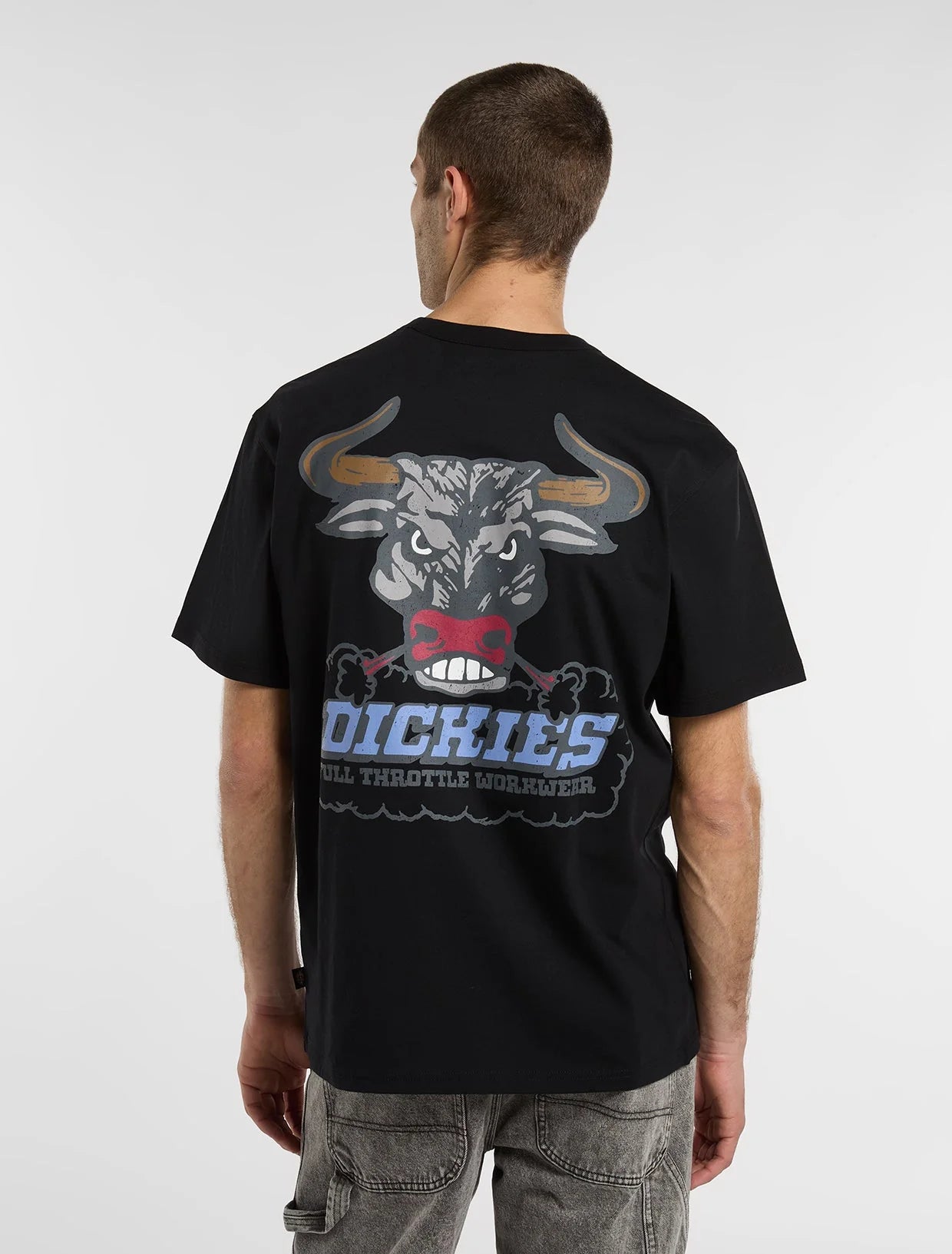 DICKIES T-shirt lakeridge