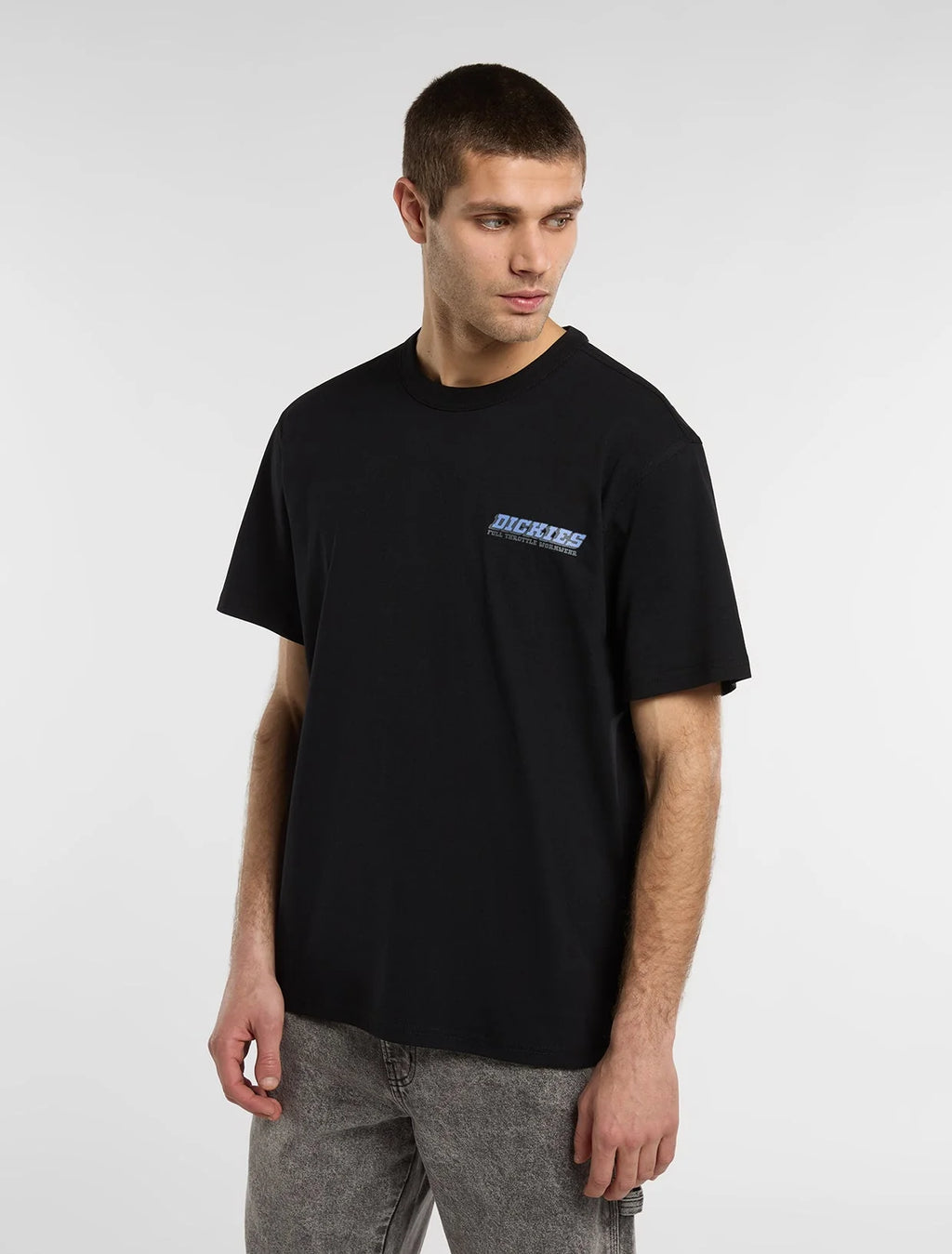 DICKIES T-shirt lakeridge