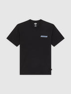 DICKIES T-shirt lakeridge