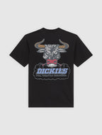 DICKIES T-shirt lakeridge