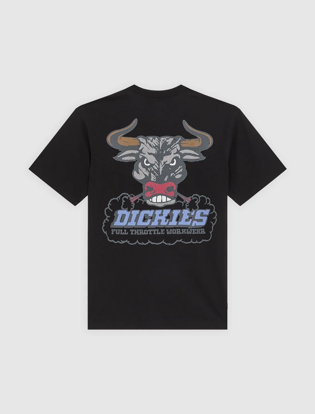 DICKIES T-shirt lakeridge