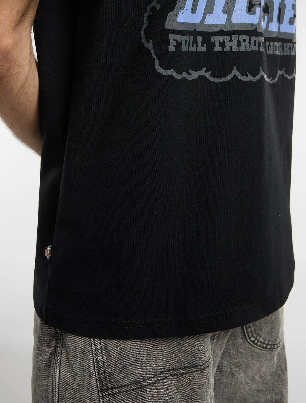DICKIES T-shirt lakeridge