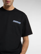 DICKIES T-shirt lakeridge
