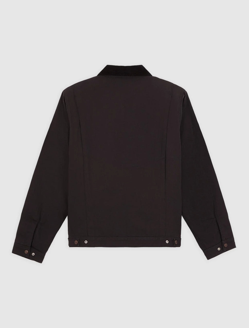 DICKIES Casaco de lona de pato 758
