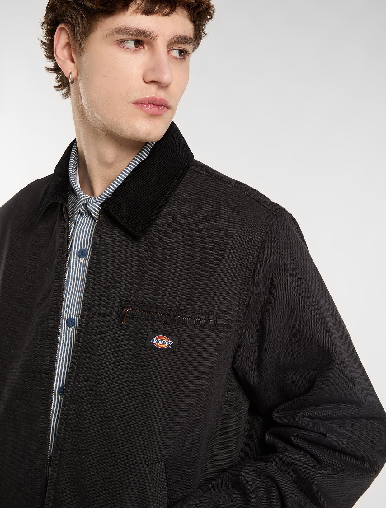 DICKIES Casaco de lona de pato 758
