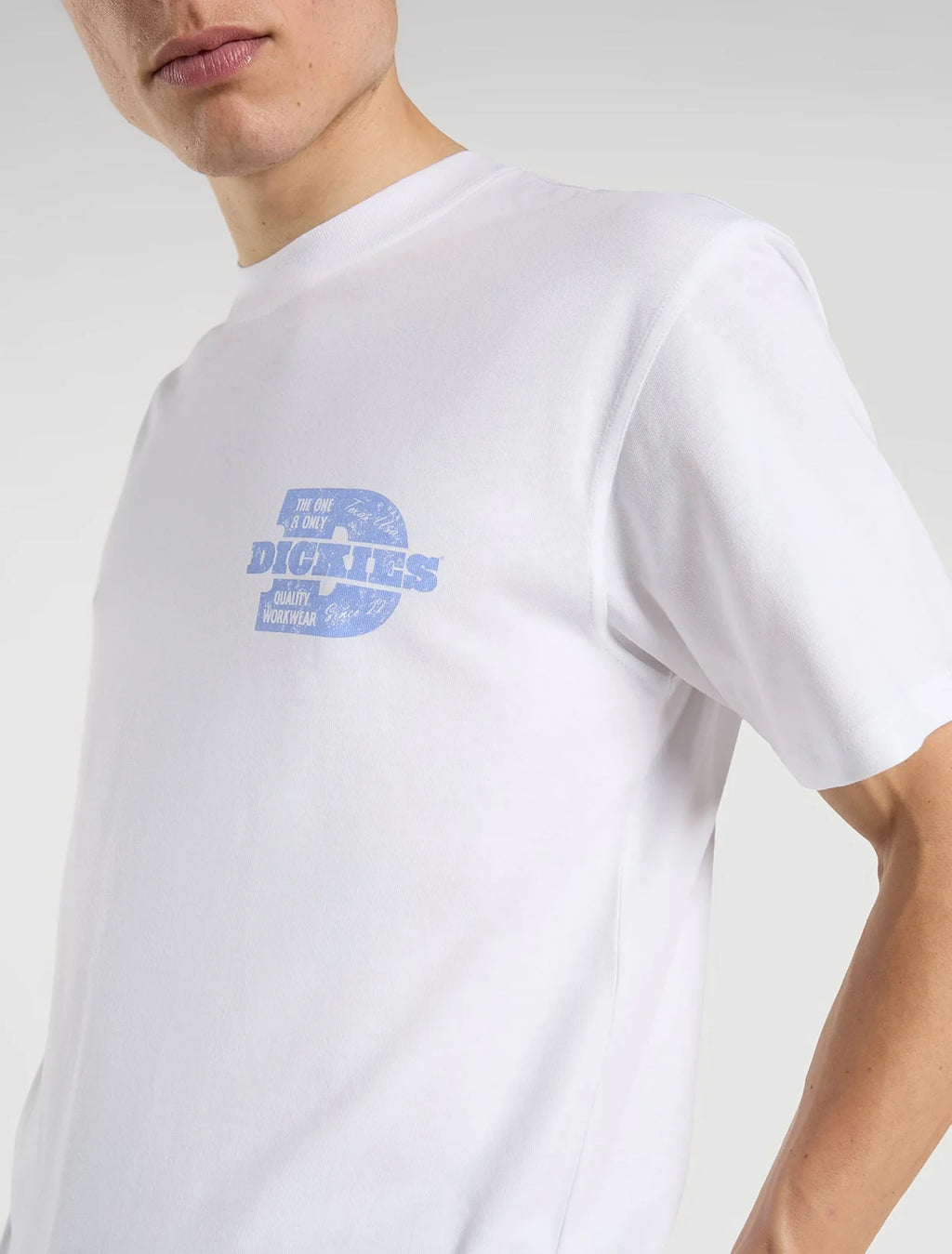 DICKIES T-shirt minden