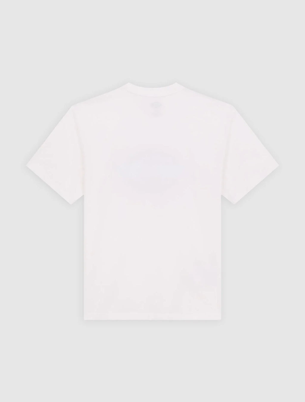 DICKIES T-shirt coolidge