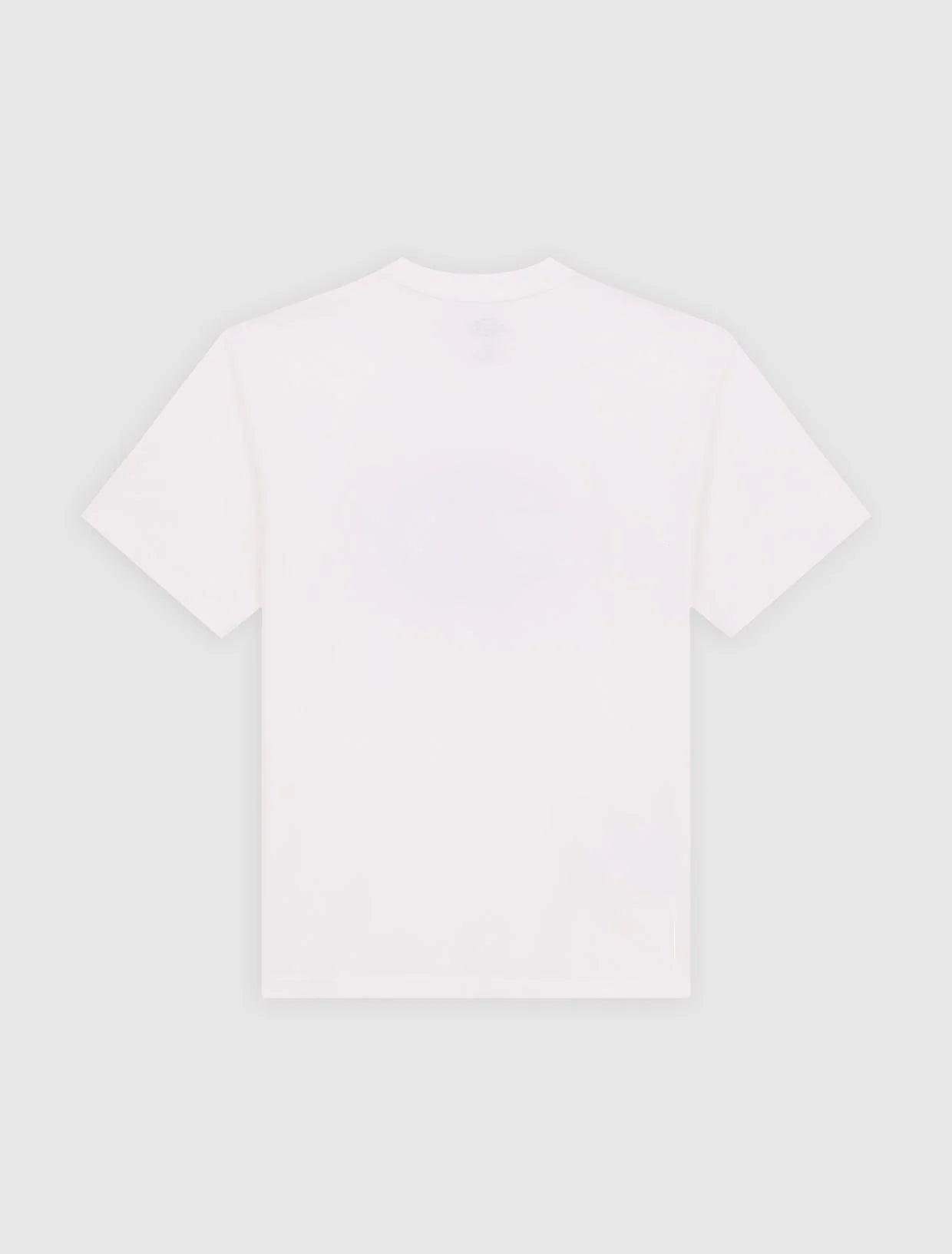 DICKIES T-shirt coolidge