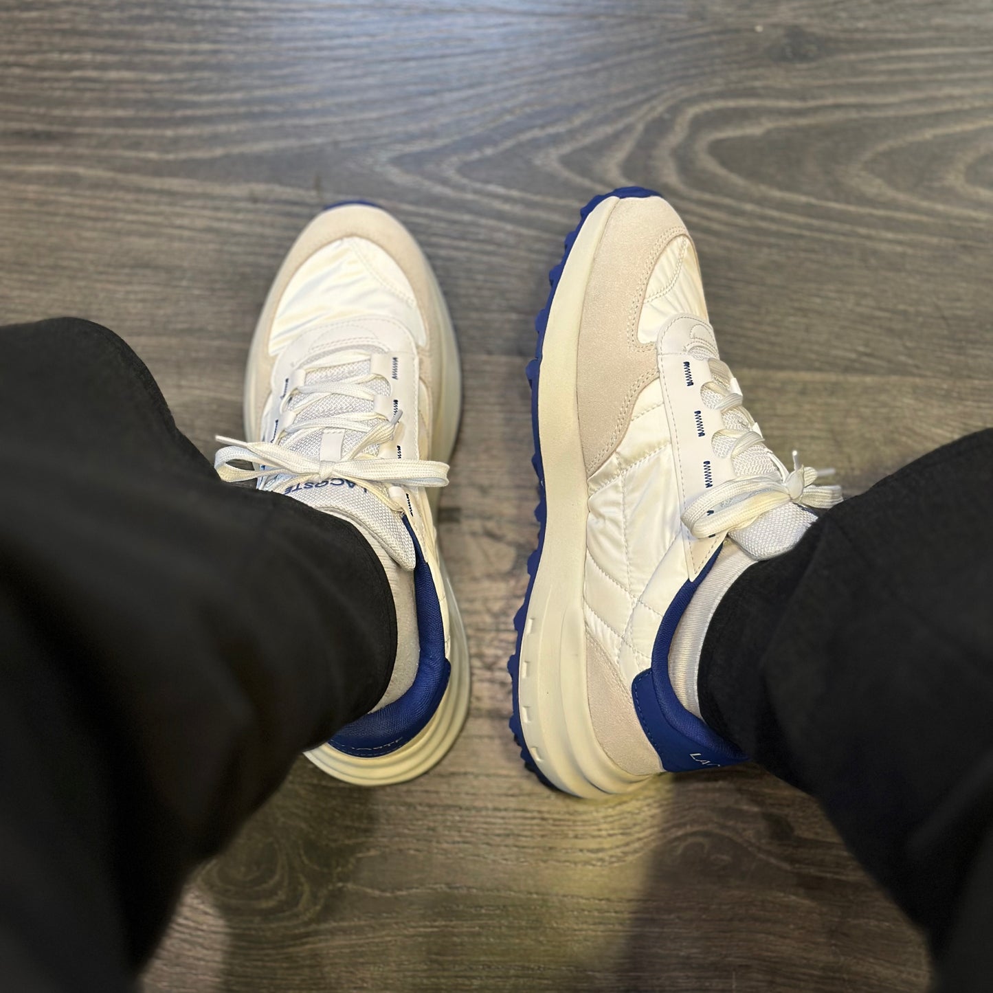 LACOSTE Sapatilhas elite active evo - CARISMAstore