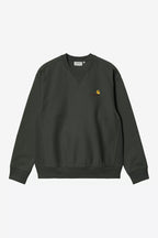 CARHARTT WIP Sweatshirt american script
