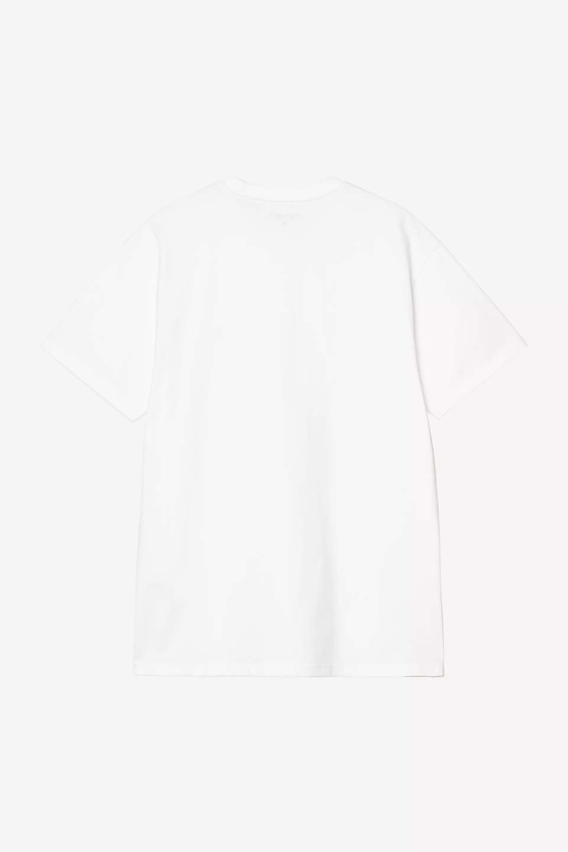 CARHARTT T-shirt chase