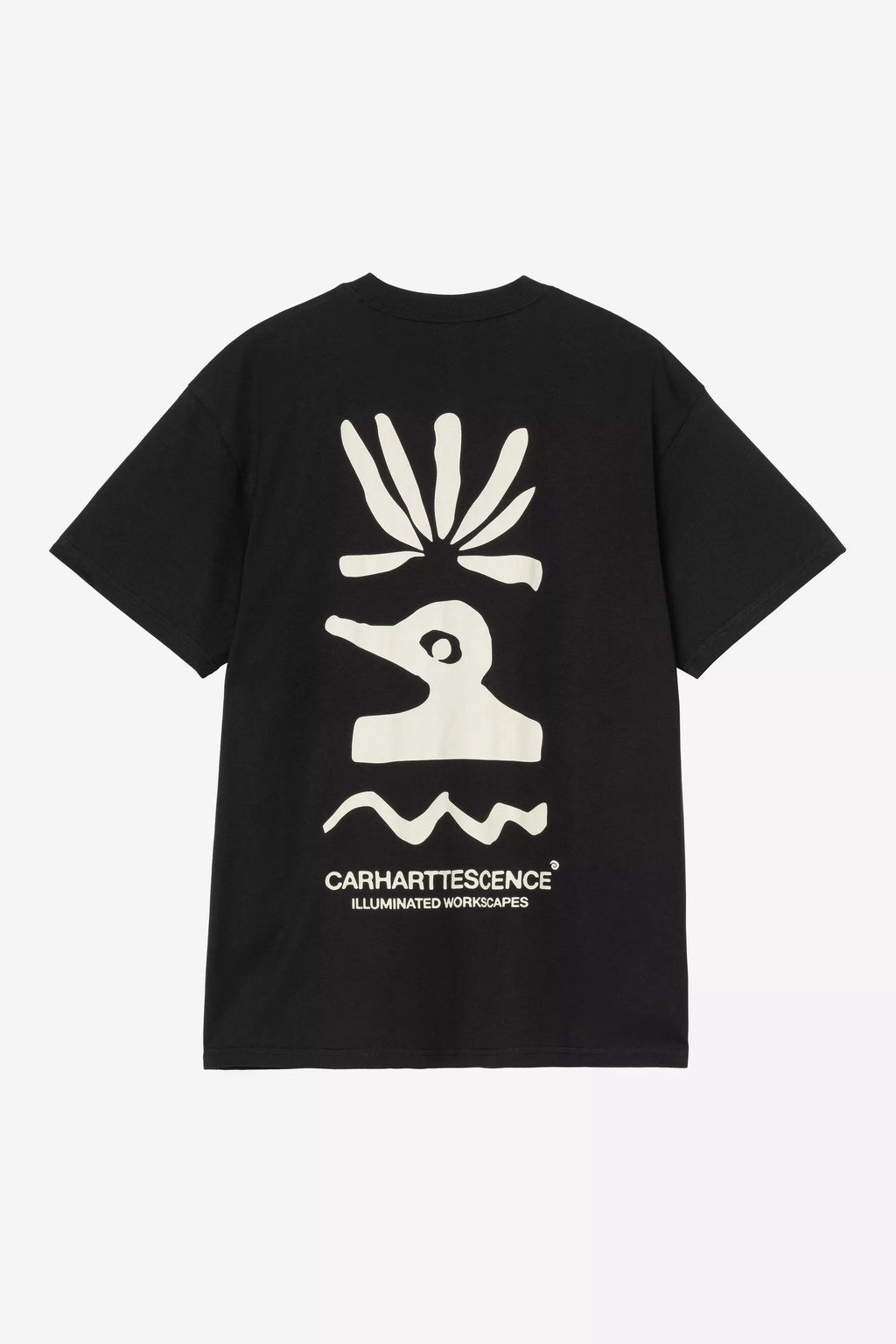 CARHARTT T-shirt s/s compy