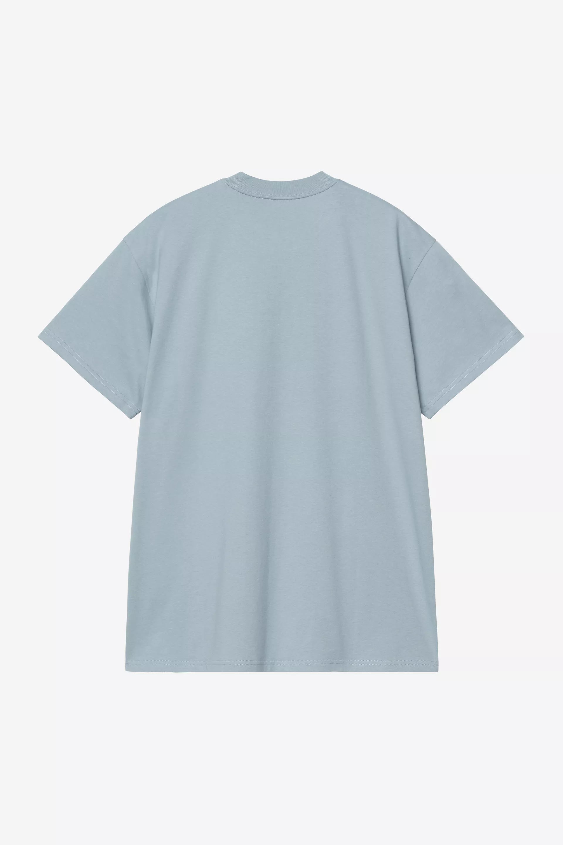 CARHARTT WIP T-shirt s/s old painter