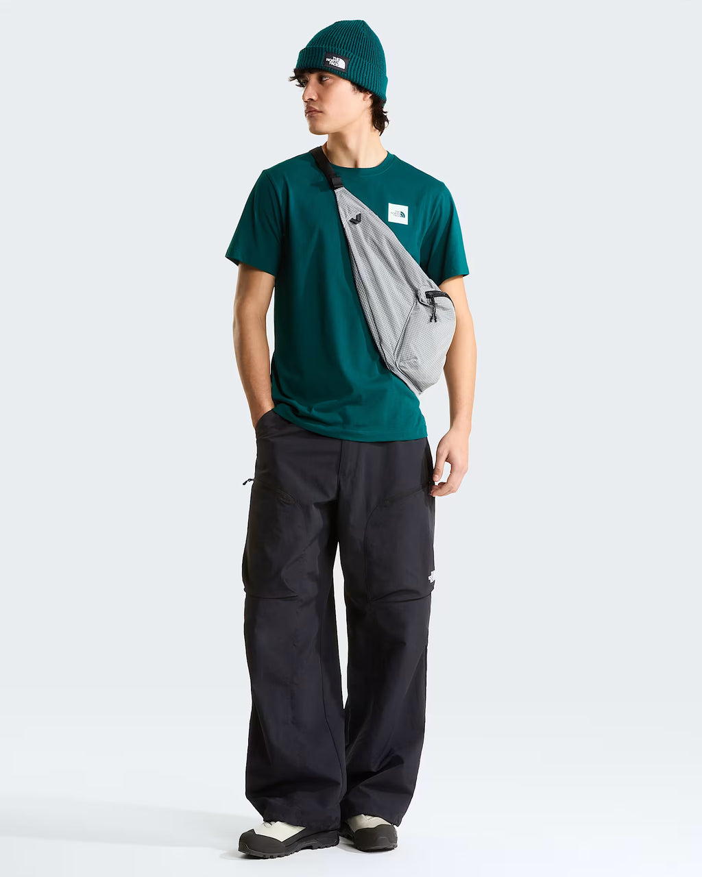 THE NORTH FACE T-shirt evolution box half dome